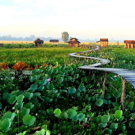Viet Mekong Farmstay Tràm Chim Exteriér fotografie