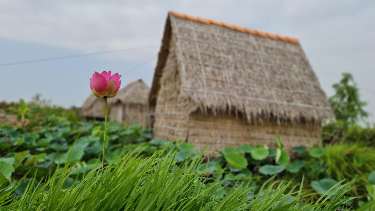 Viet Mekong Farmstay Tràm Chim Exteriér fotografie