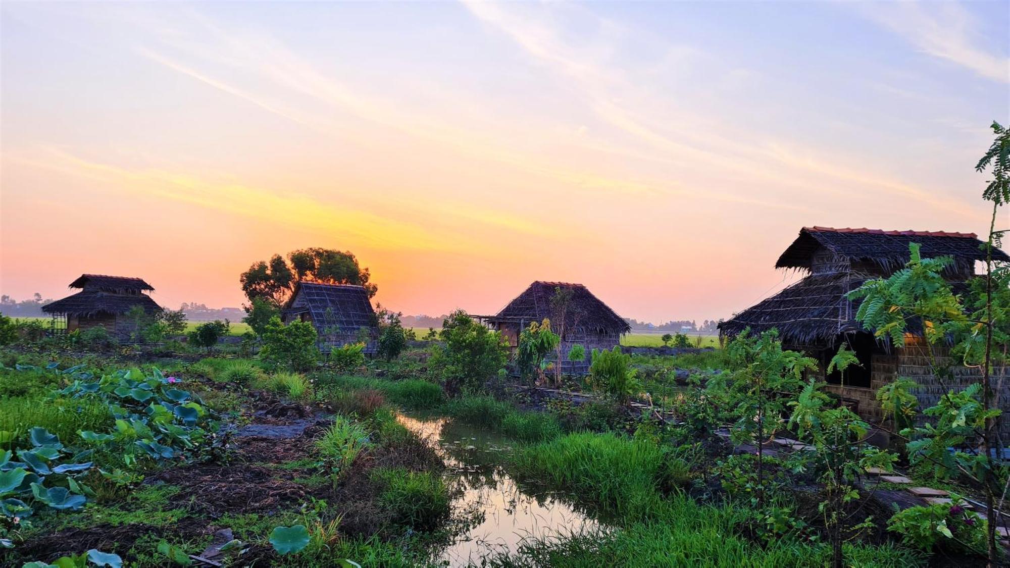 Viet Mekong Farmstay Tràm Chim Exteriér fotografie