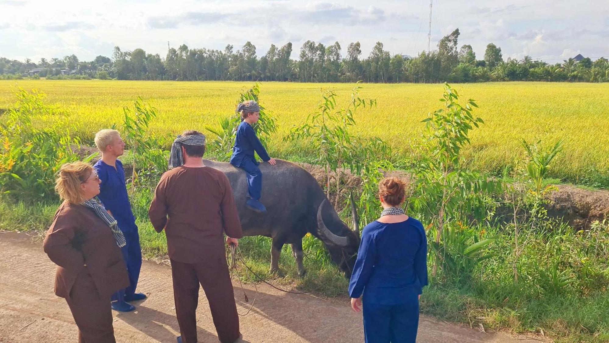 Viet Mekong Farmstay Tràm Chim Exteriér fotografie